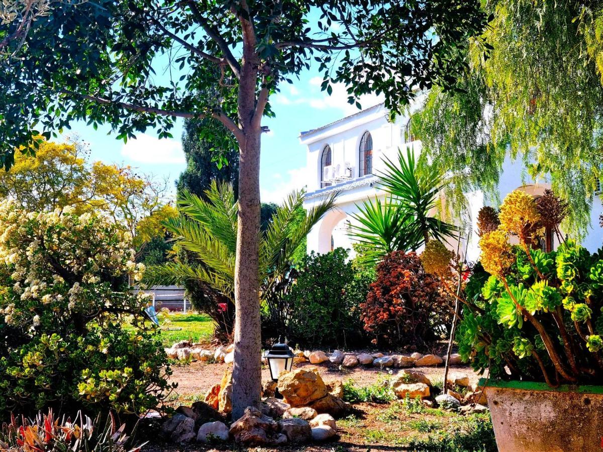Chalet Alicante Sol Y Luz San Vicente Raspeig Ngoại thất bức ảnh