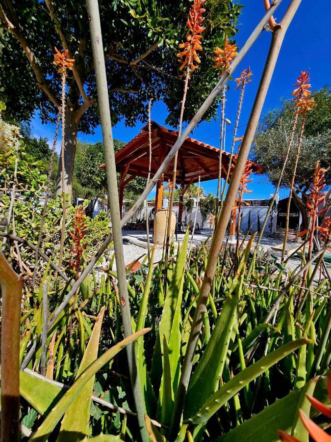 Chalet Alicante Sol Y Luz San Vicente Raspeig Ngoại thất bức ảnh